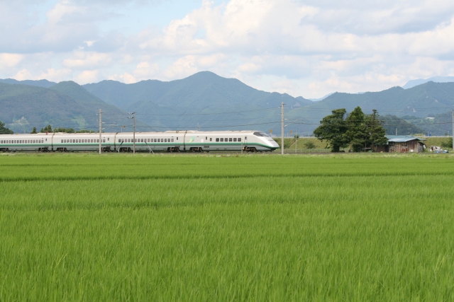 🍒さくらんぼ狩りご予約のお客様へ