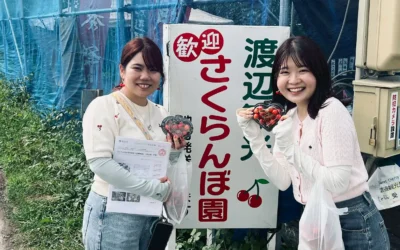 🍒観光さくらんぼ狩り 閉園のお知らせ
